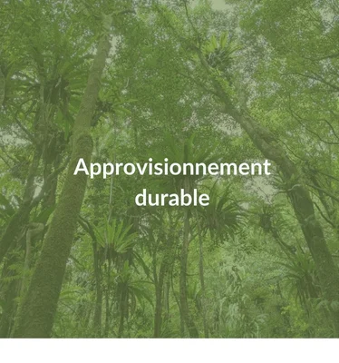 Approvisionnement durable